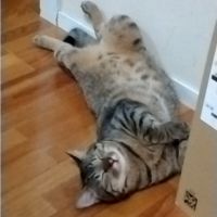 はな0087さん