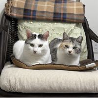 nintaro 会員画像