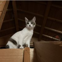 るんるんべさん