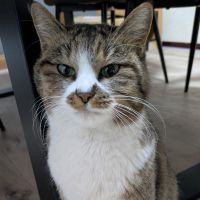motchyさん
