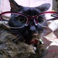 C.C.さん