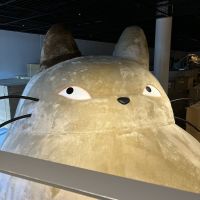 会員画像
