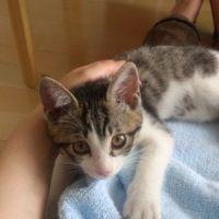 まどか77 会員画像