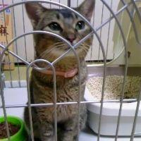 m.k.c.p 会員画像