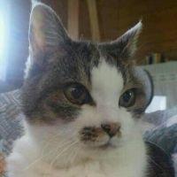 はらだ 会員画像