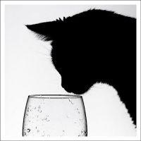 くろかんな 会員画像