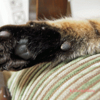 れっど。 会員画像