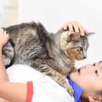 せみねこ 会員画像