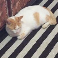 会員画像