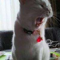 ミュウ*ラヴ 会員画像