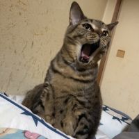 ふなおっちさん