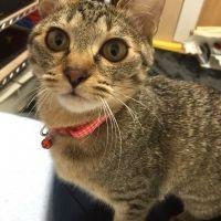 きそそん 会員画像