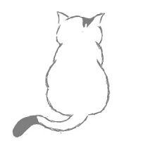yoppy 0909 会員画像