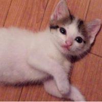 うずららきき 会員画像