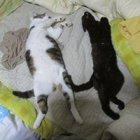 くーととママ 会員画像