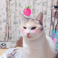 ユホマフラ 会員画像
