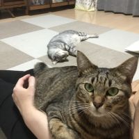 tooticky1127 会員画像