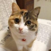 ももた 会員画像
