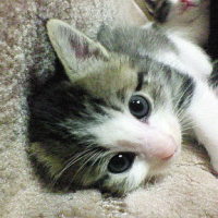 じょに太郎 会員画像