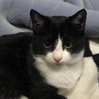 Kona Love 会員画像