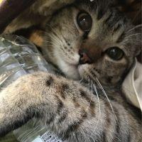 はつみー 会員画像