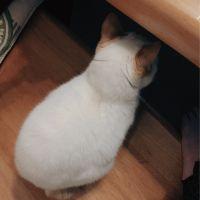 すりりん 会員画像