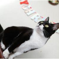 モチ太郎 会員画像