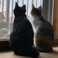 会員画像
