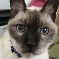 ミミ君さん