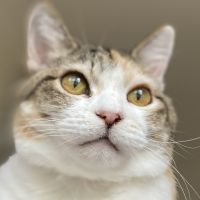 会員画像