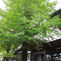 会員画像