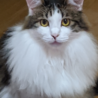 会員画像