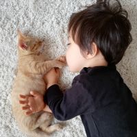 くにみほ 会員画像