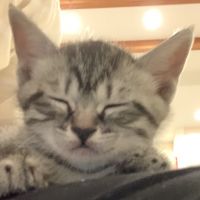 さぁママ 会員画像