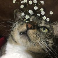 会員画像