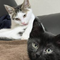 ひろ9242 会員画像