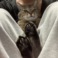 れあ氏 会員画像