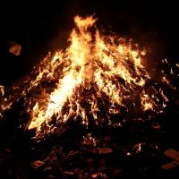 なっぱっぱ 会員画像