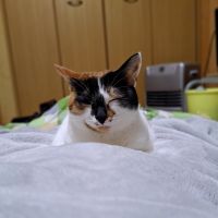 くるみの母ちゃん 会員画像