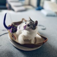 ちるなさん