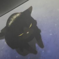おぱんちゅさん