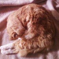 maru-mada 会員画像