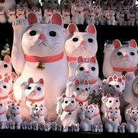 猫山細道 会員画像