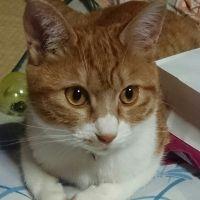会員画像