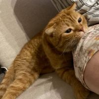 がじろう 会員画像