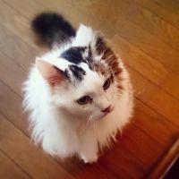 つぶこ 会員画像