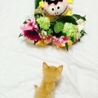 会員画像