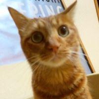リリ坊 会員画像