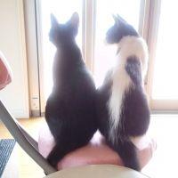 まっきん7 会員画像