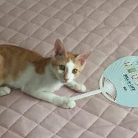 茶々丸(^_^;) 会員画像